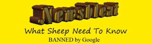 NO SALE – Newsbleat